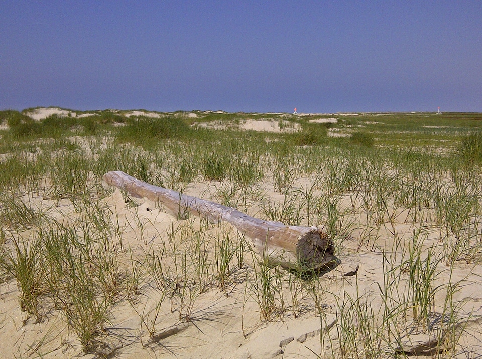 Dune beach nordfriesland