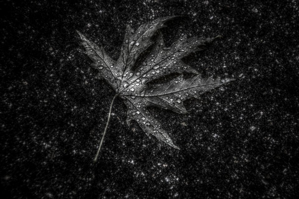 Black and white detail structure