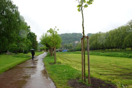 Wet on the staden trees