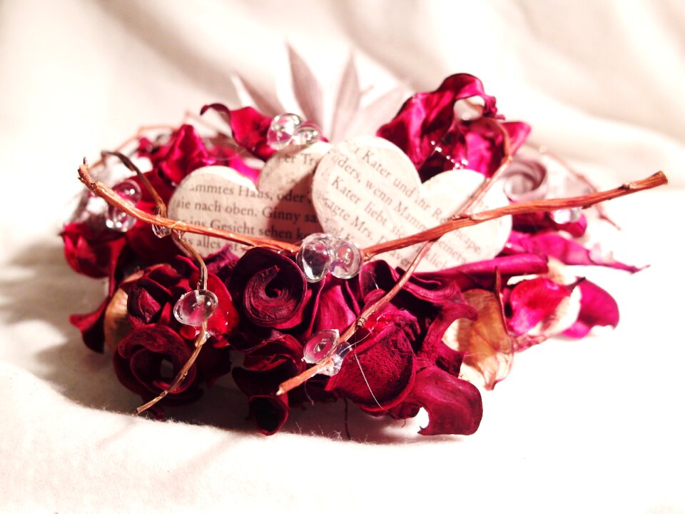 Flowers plant valentine