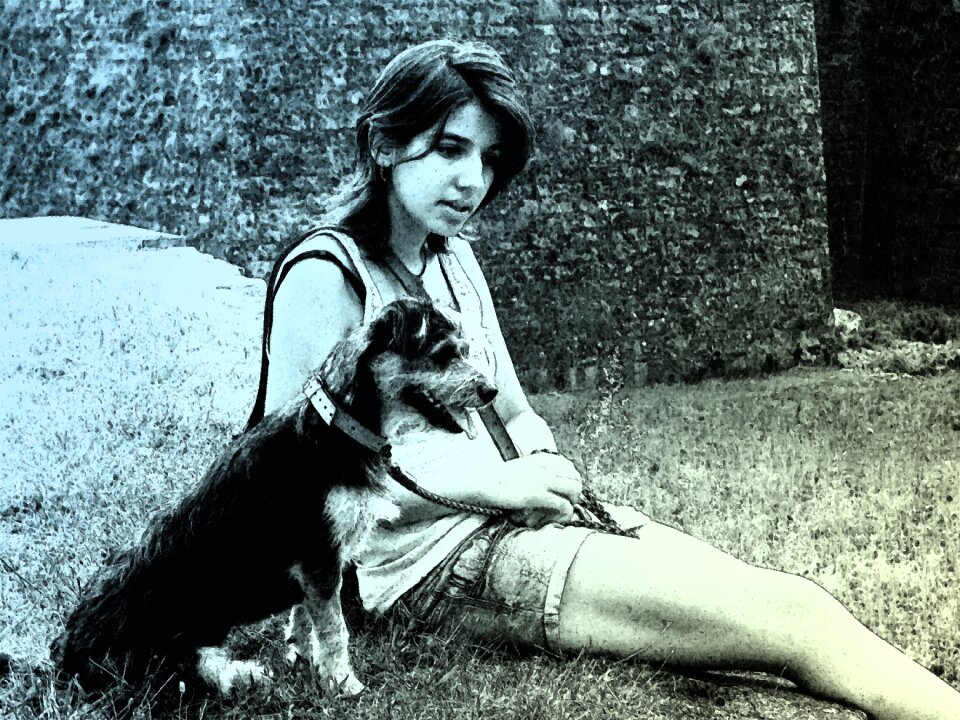Friendship dog young