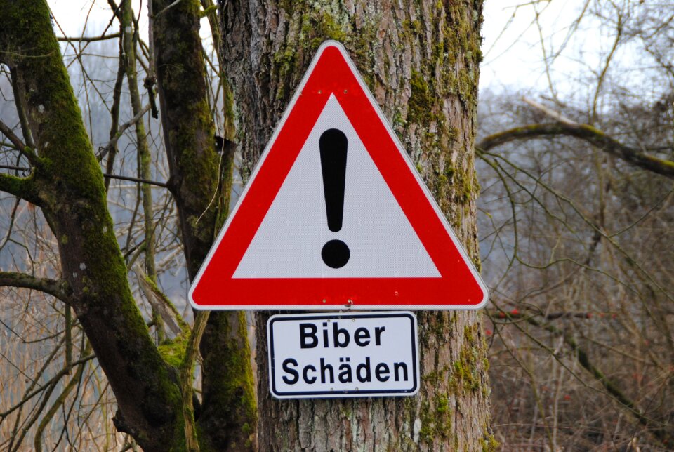 In nauen inn bavaria