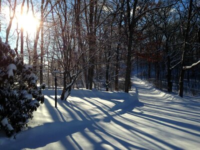 Snow sunlight landscape photo