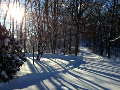 Snow sunlight landscape