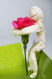 Flower flowers green
