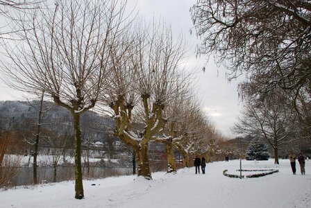 Snowy wintry saar river