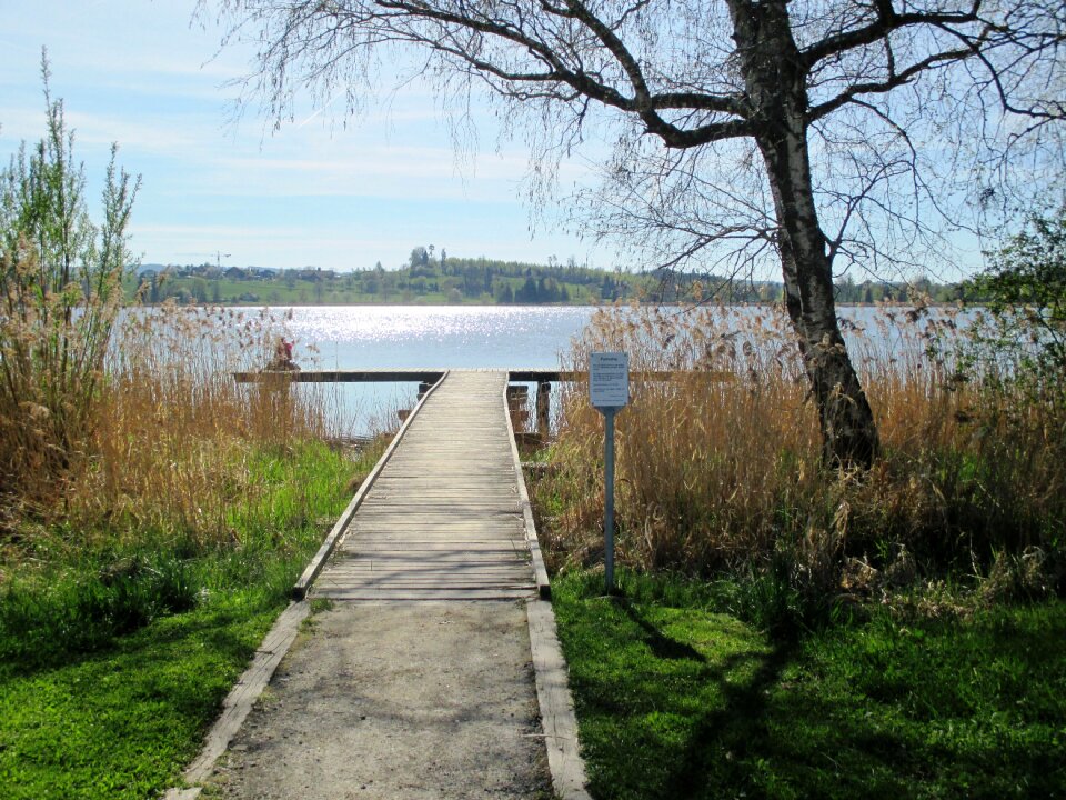 Water pfäffikersee pfäffikon