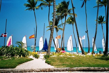 Beach palm trees sailing boat photo