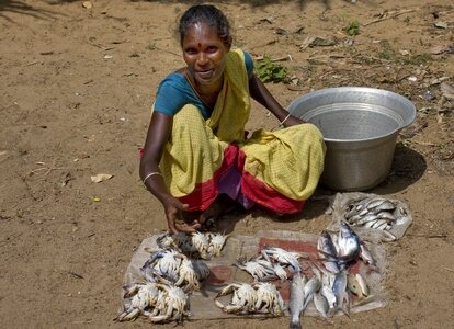 Fish woman nutrition