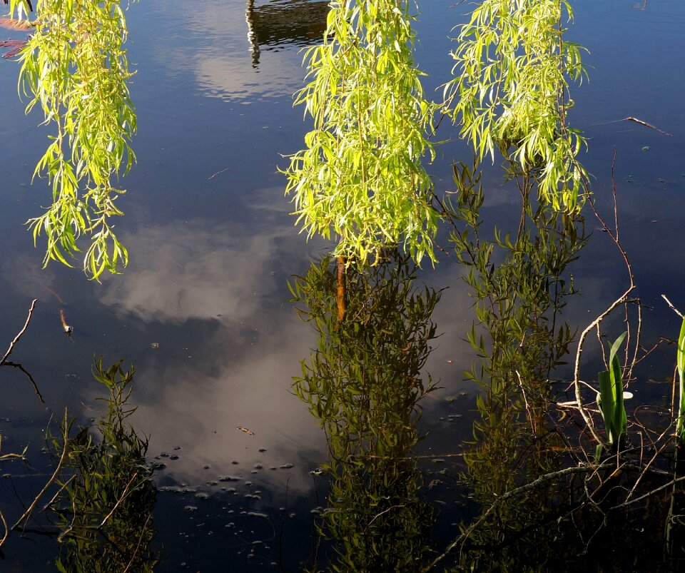 Green water mirroring
