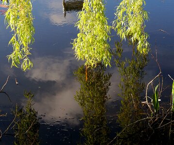 Green water mirroring