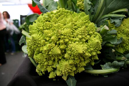 Farmer farmers market