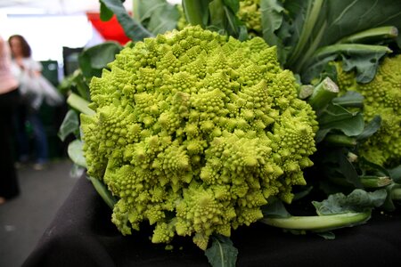 Farmer farmers market photo