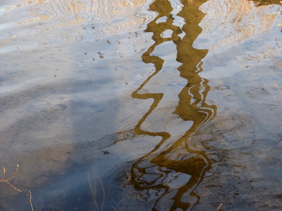 Mirroring water nature