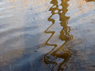 Mirroring water nature