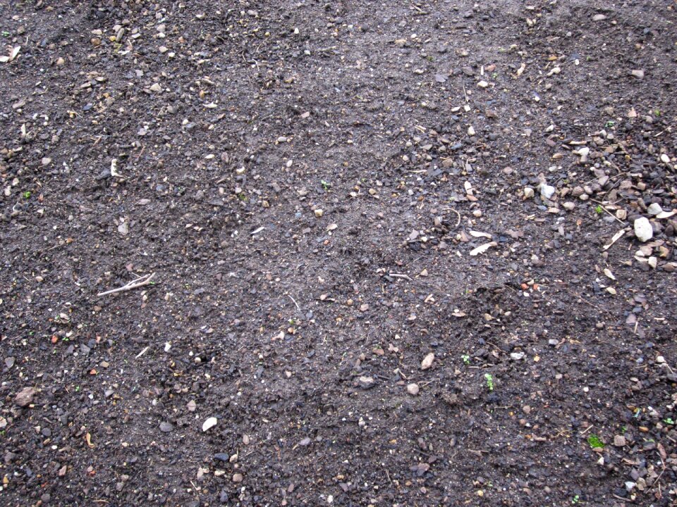 Background earth texture
