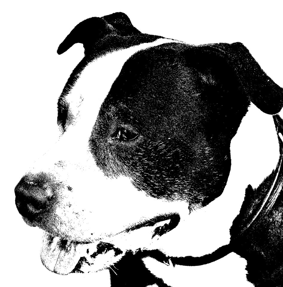 Portrait black and white face
