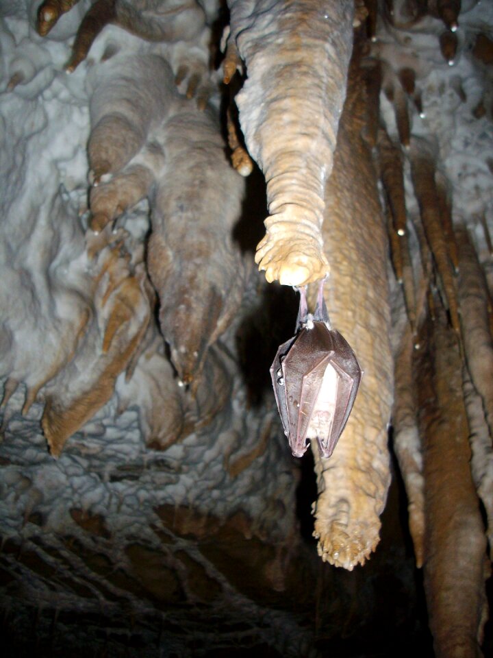 Rock geology caving