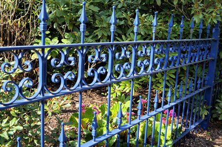 Iron pointed blue