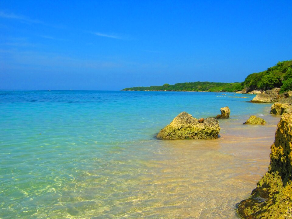 Blue reef cartagena