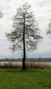 Lake spring individually photo