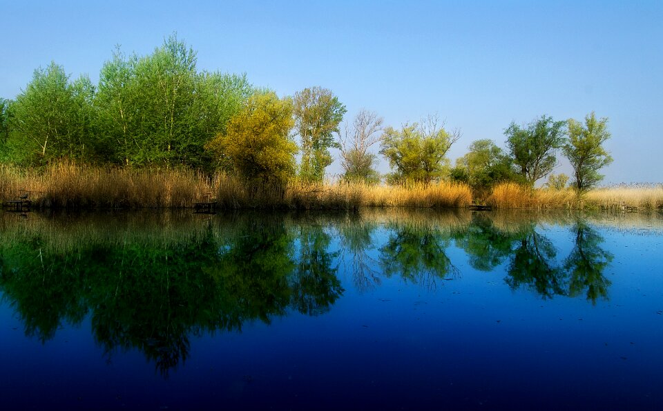 Reflection spring dead marcal