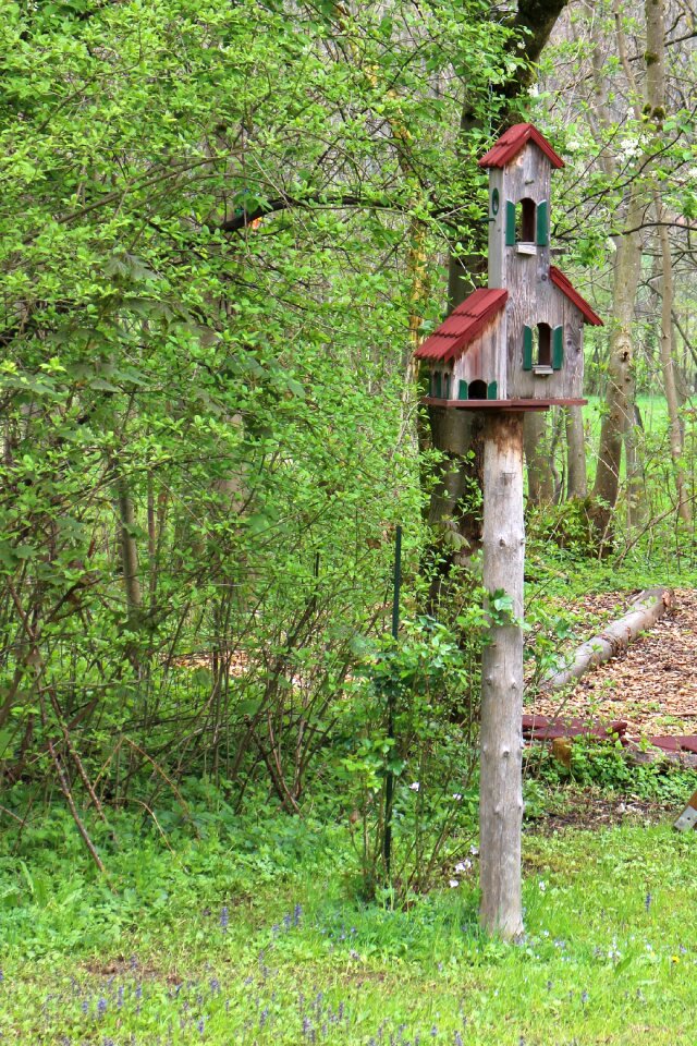 Nesting place animal welfare feed photo