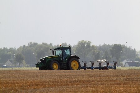 View field crops summer