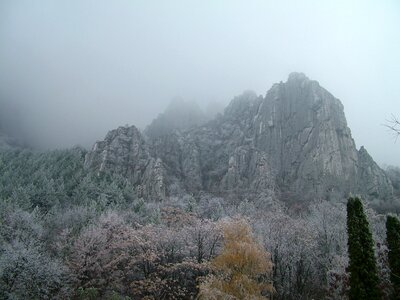 Mist fog winter