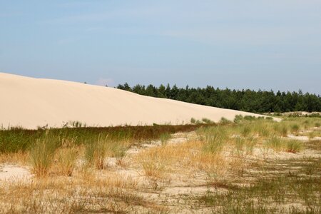 The baltic sea poland moving dunes photo