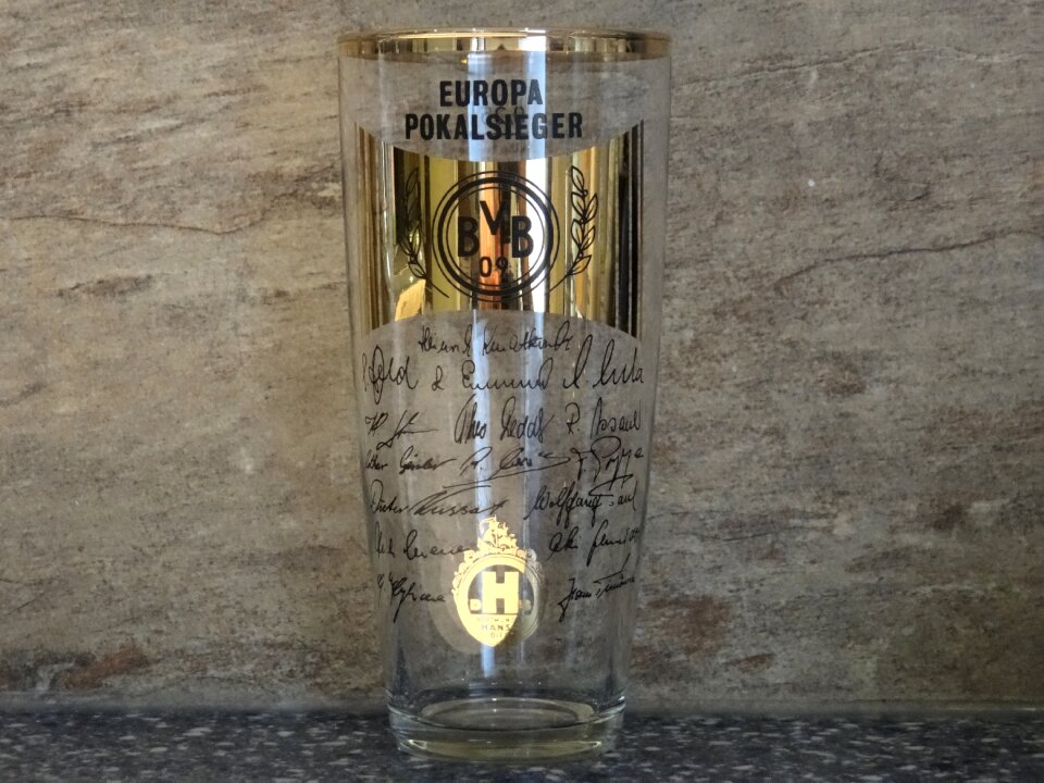 Dortmund borussia dortmund european cup