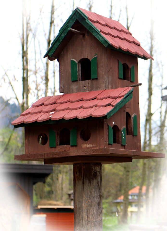 Nesting place animal welfare feed