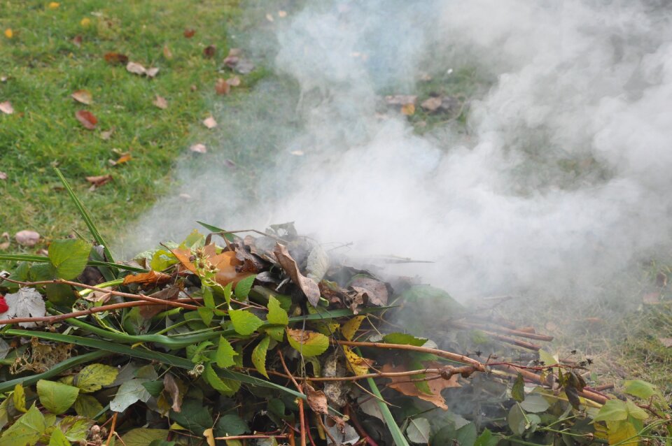 Autumn cleanup foliage