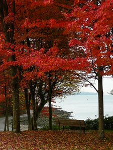 Vancouver british columbia canada