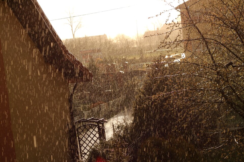 Spring rain the sun