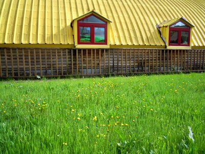 Cottage roof green
