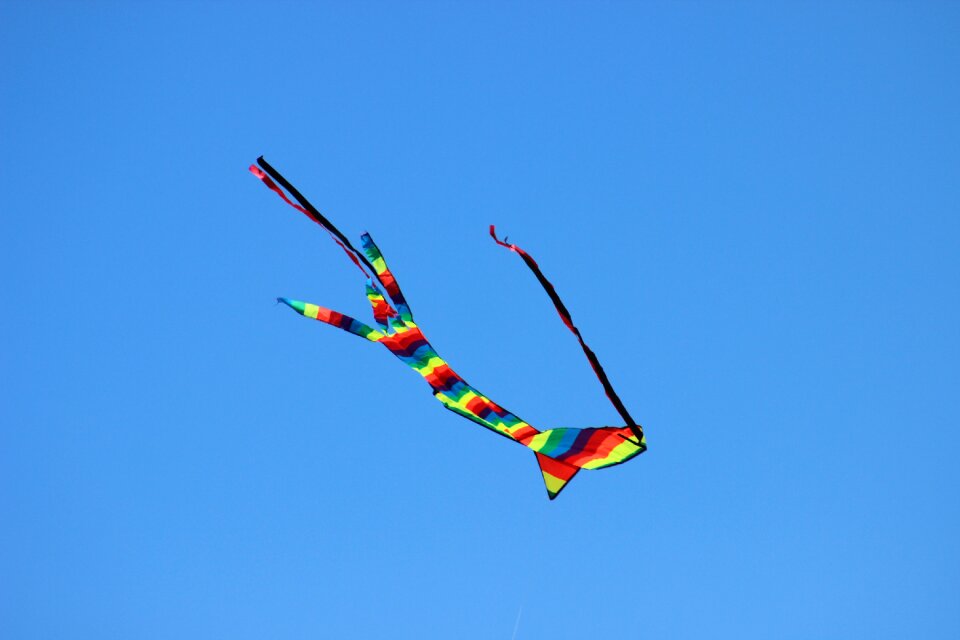 Wind colors movement