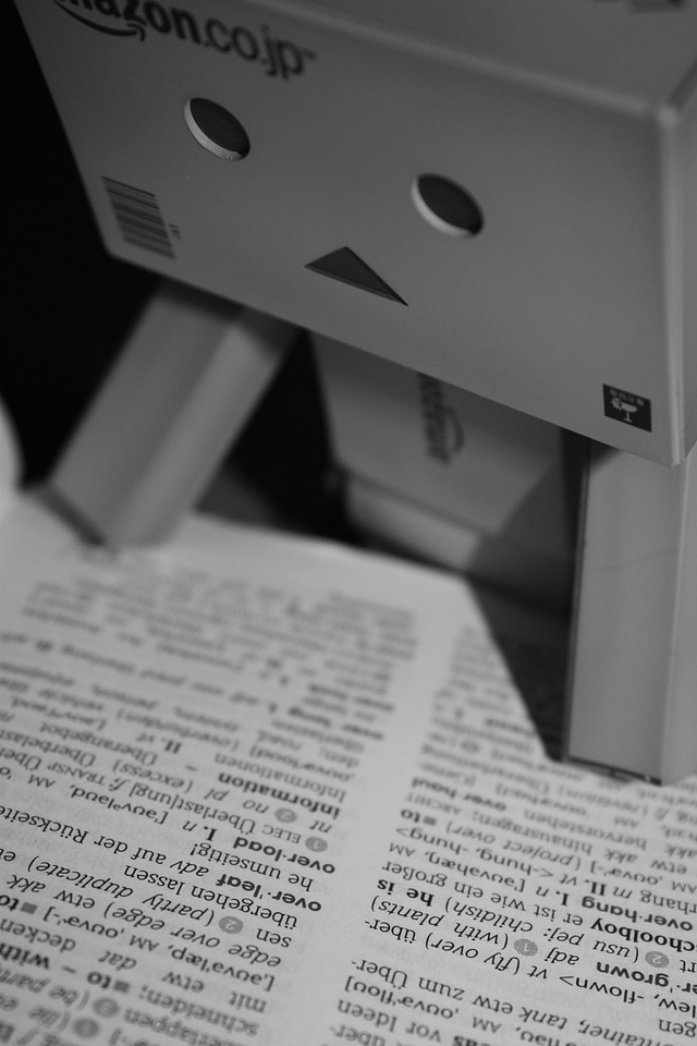 Danbo close up read