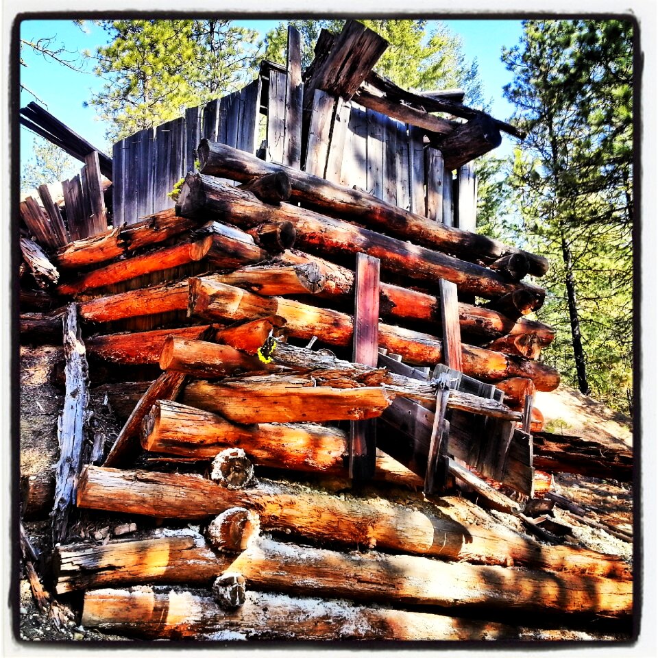 Woods logs silver mine