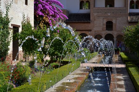 Granada garden spain photo