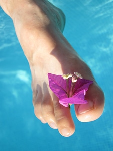 Female flower foot