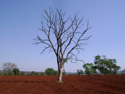Dry earth plow