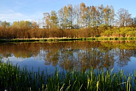 Surface pond bank photo