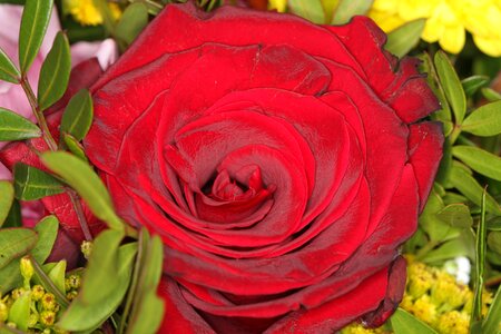 Valentine love bouquet