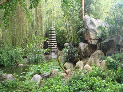 Japanese garden garden sydney photo