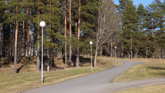 Street lights parting of the ways choice
