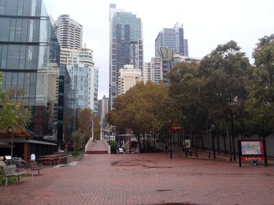 Skyscrapers metropolis australia photo