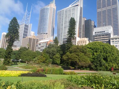 Sydney botanic garden sydney park sydney high rise buildings