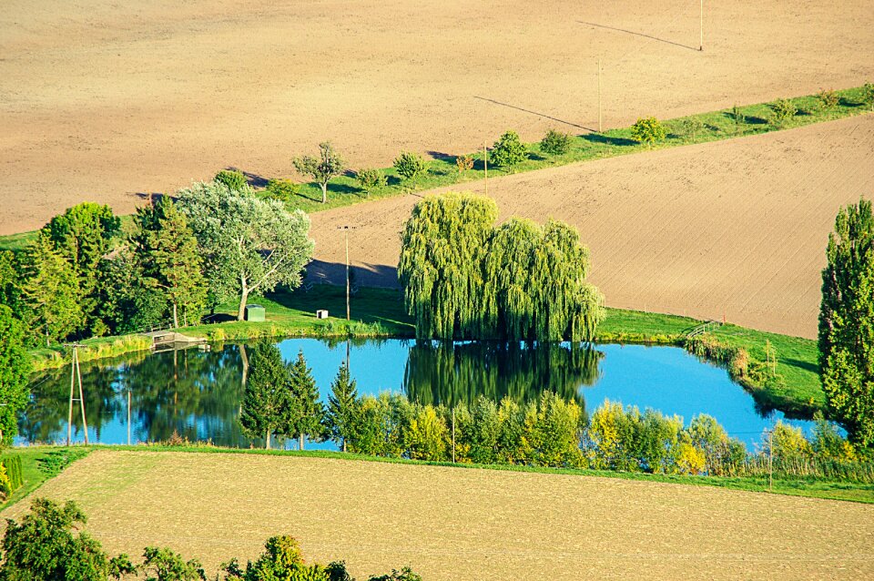 Fields landscape arable
