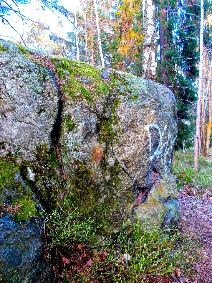 Stone nature forest